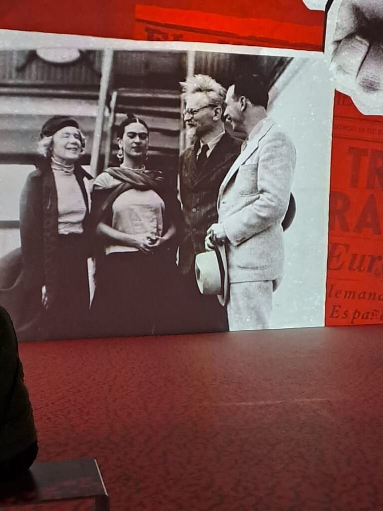 Image from “The Charisma of Frida Kahlo”