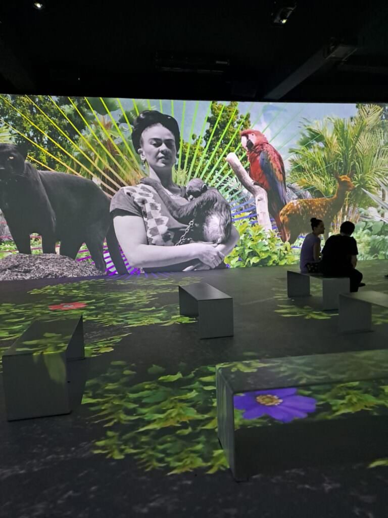 Image from “The Charisma of Frida Kahlo”