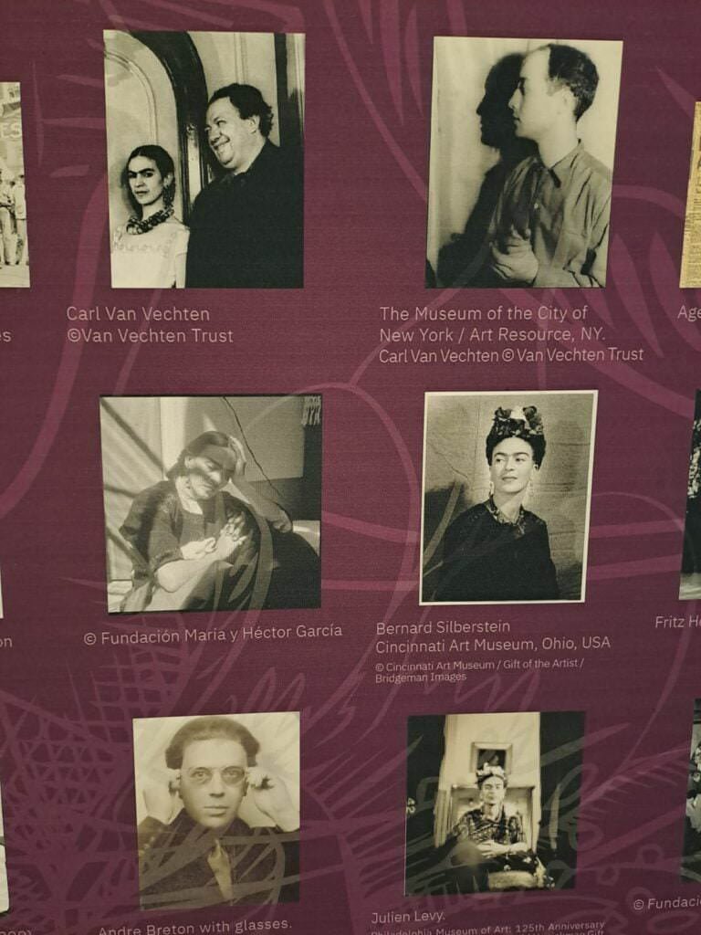 Image from “The Charisma of Frida Kahlo”