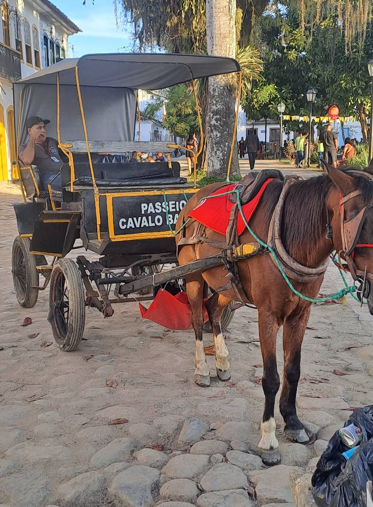 Image from “FLIP`s Twenty-third literature festival in Paraty, Brazil”