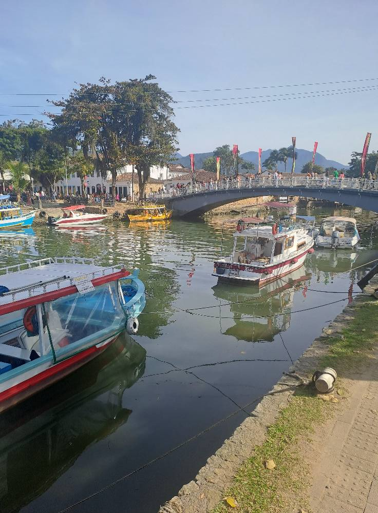 Imagem do artigo “Vigésimo terceiro festival literário da FLIP em Paraty, Brasil”